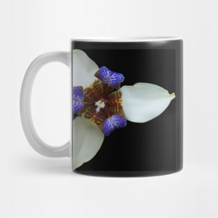 Orchid, Ciudad Colon, Costa Rica Mug